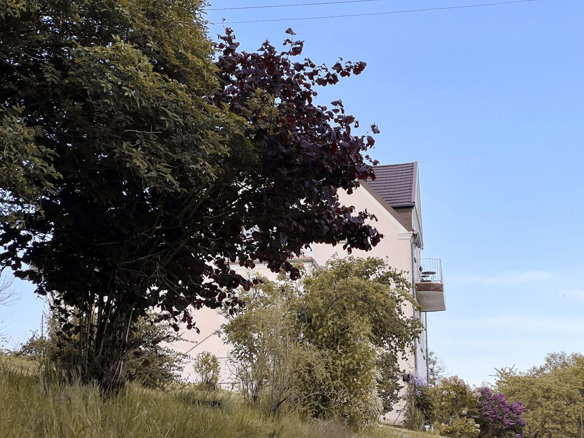 Villa Ueberblick Nalbach Exterior photo